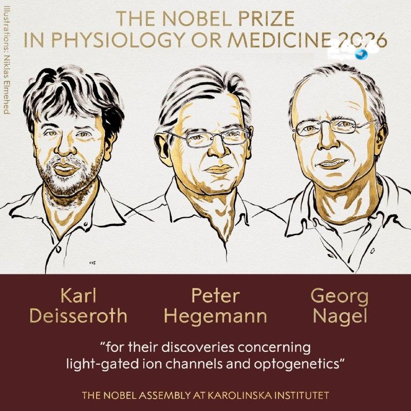 🇮🇱 The Nobel Prize for Medicine is awarded to three researchers, German and American, for their discoveries in the field of the use of light for medical purposes. Foreign desk news 12.