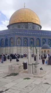 עקבו אחרי סאפא| חלק מזרם המתפללים לחצרות מסגד אל-אקצא המבורך לקיים תפילת יום שישי
