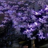 [полу-рест] 𝙎𝙥𝙖𝙬𝙣𝙞𝙨𝙩！✿