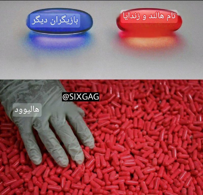 6GAG: #meme@SIXGAG
