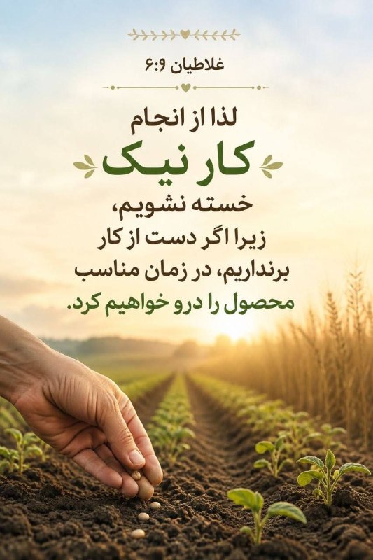 راه نجات 7: رسانه پست