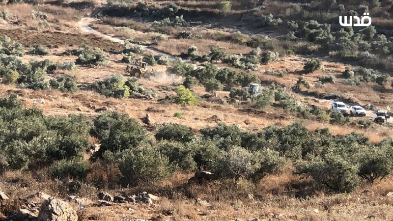 רשת חדשות ירושלים