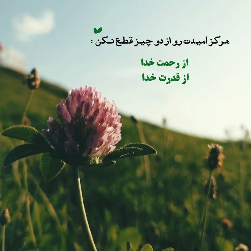 کافه اقتصاد‌: 🍃هرگز امیدت رو از دو چیز قطع نکن :از رحمت خدا از قدرت خدا…
