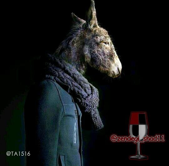 🌹👌سخنان ناب و پند آموز👌🌹: گاهی بکوش خودت را به خریت بزنی ! نترس...گاهی این ، عین درایت است...بهنام_اوحدی@pand_e_nab