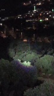 מתנחלים גוזרים עמודי חשמל באזור אל-דהרה בעיירה ביתא, דרומית לשכם.