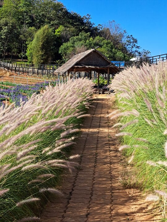 【(泰國)清邁府全攻略~二版 〥】〜〆巨龍的環繞│夢境般的天堂