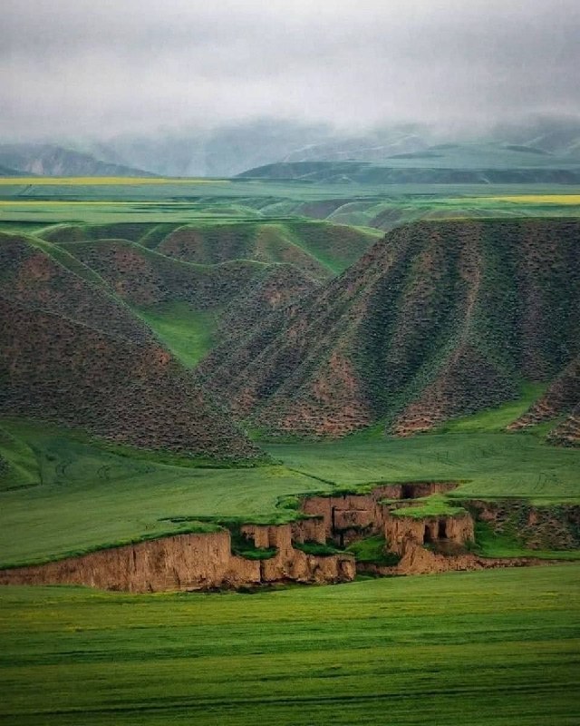 آستانه مرکزی: طبیعت زیبای ترکمن صحرا❣️🥰@astaneharak