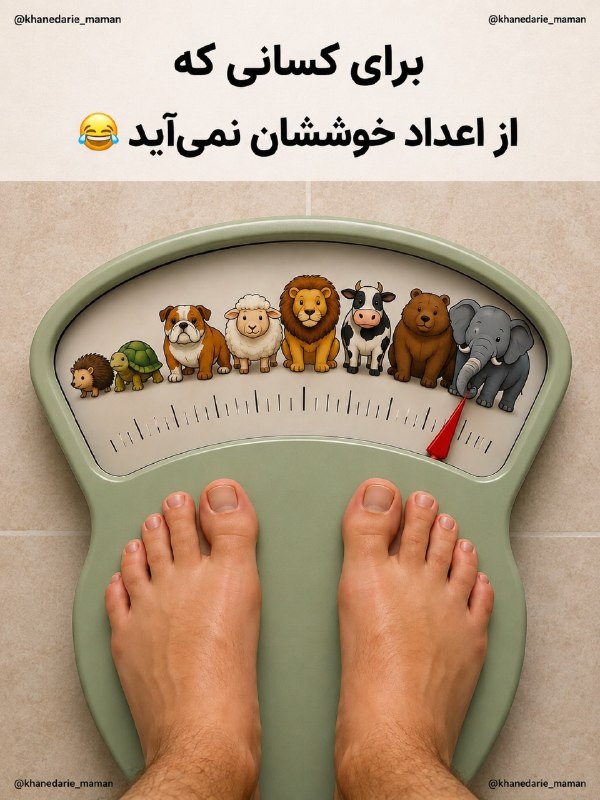 مرسی تی وی🌿🌺: 😂 بعضیا با دیدن عدد روی ترازو خوشحال می‌شن، بعضیا هم انگار باهاش دشمنی شخصی دارن!اما واقعیت اینه که عدد ترازو همه‌چیز رو
