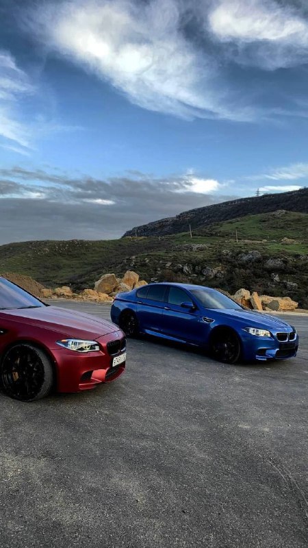 https://t.me/bmw_mpower_club