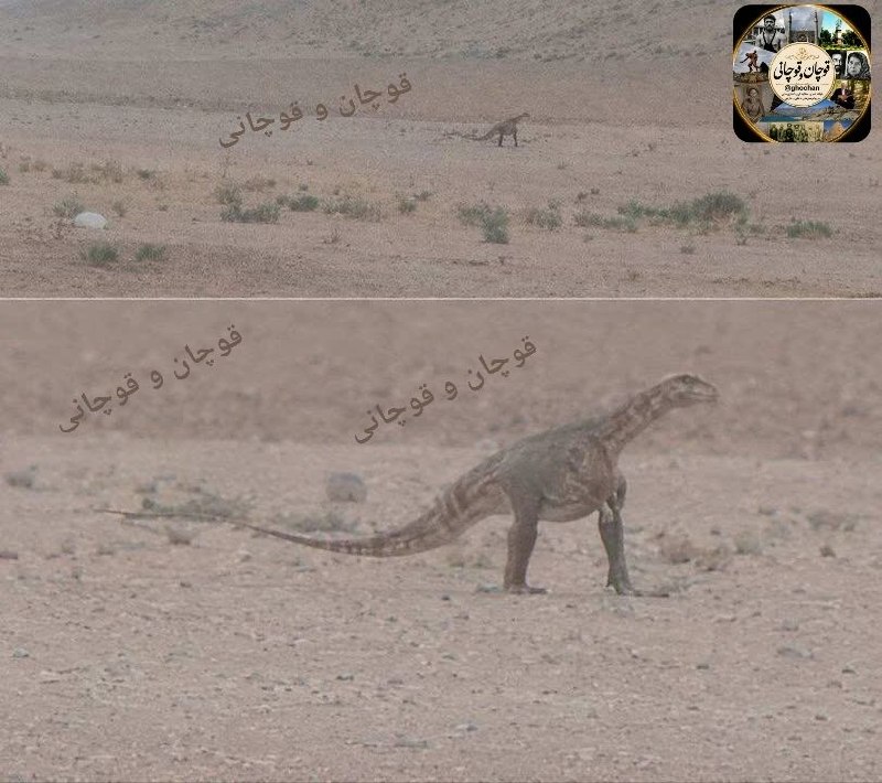 قوچان و قوچانی: 🦖تکذیب مشاهده دایناسور در خراسان رضوی📌اداره کل محیط زیست خراسان رضوی در پی انتشار تصاویری در شبکه‌های اجتماعی مبنی بر مش