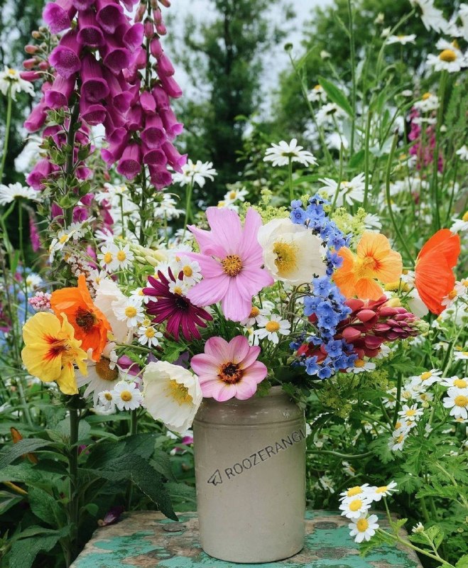 💞پندانه💞: 🌸الهی تو این گردش روزگار🌺هر چی غم و ناراحتی🌸ازتـون دور بشه🌺و هر چی خوبی و قشنگیه🌸نصیب لحظه هاتون بشه🌺زندگیتون بر وفق مرا