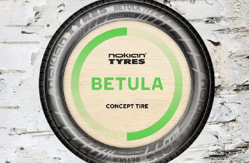 Nokian разработала экологичную шину из берёзовой коры 3