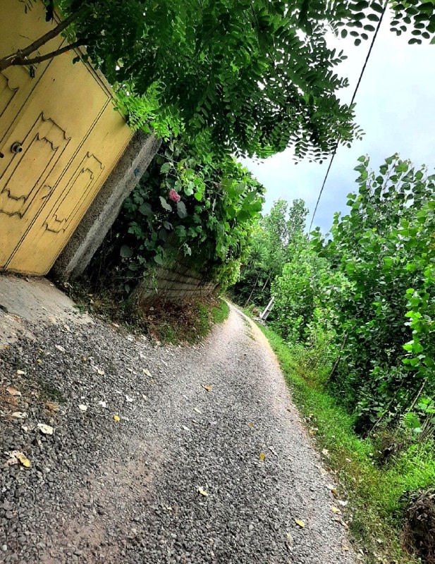 🦋🌧 دخــترِ بـــاران🌧🦋: درود و عشق بر کسانی‌ که بودنشان ساده اما عمیق حالِ جهان را بهتر میکند🤗✨