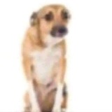 ..
