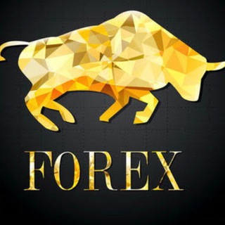 Meta Forex Türkiye