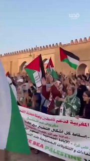 "אין בריאות ואין חינוך. אנחנו נגדיל את זה עם נורמליזציה".