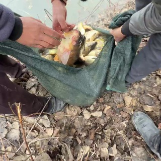ROVOT MAHALLA BALIQ KÓLI🐟
