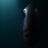 ugliest of all sea