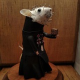 Rattus