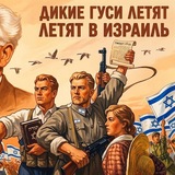 Дикие гуси летят в Израиль🇮🇱