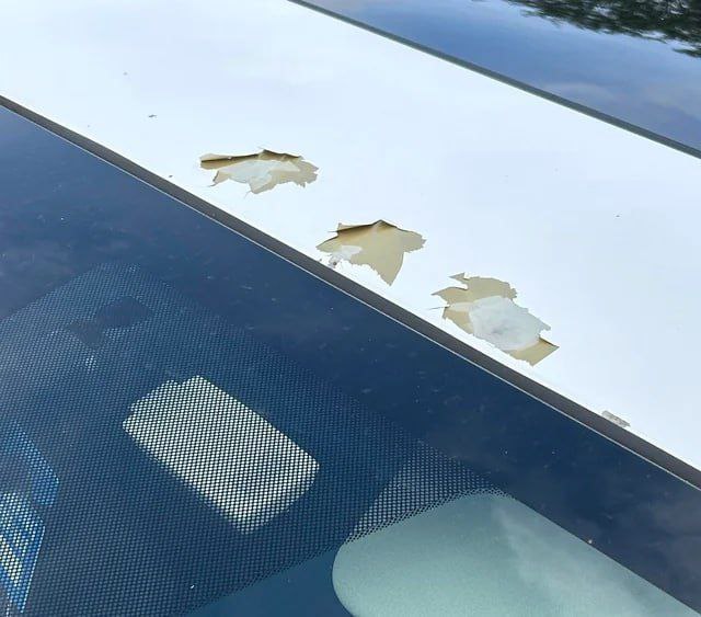 На Honda подали коллективный иск из-за некачественной белой краски 3