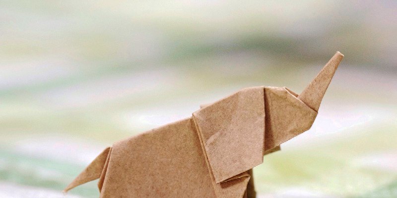 Slicing the Elephant: Inside the Design of a Digital Euro