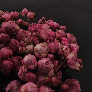 Telegram profile photo for saxarGPT | ТРЕНДОВЫЕ ГЕНЕРАЦИИ ТУТ💐