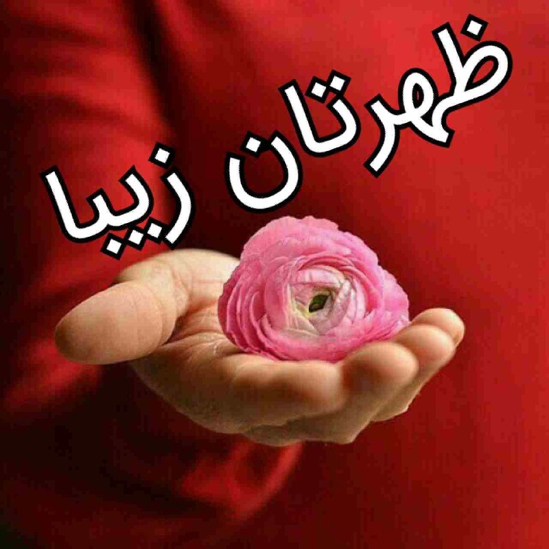 💞پندانه💞: 🌷یــک ظــهر پــر از آرامــشــ💗یــک دل شــاد و بــی غــصــه🌷یــک زنــدگــی آروم و عــاشــقــانــه💗و یــک دعــای خــیــر ا