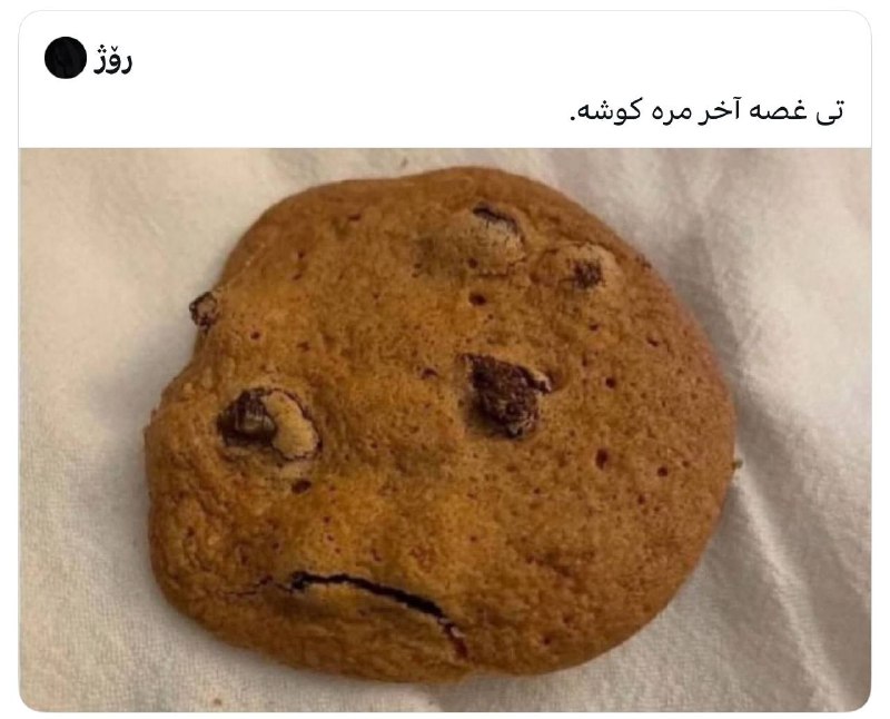 [ احمق … ]: @ahmaq #Lasso