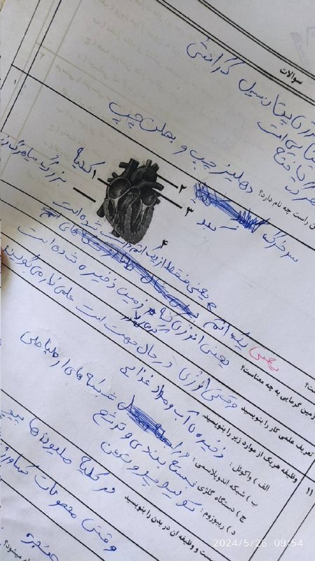 توییتر دانشجویان علوم پزشکی: از جراحان نمونهیاستان و کشور میتونه باشه اگه سهمیه داشته باشه#تپلیست@medtweeet | مدتوئیتInstagram | اینستاگرام