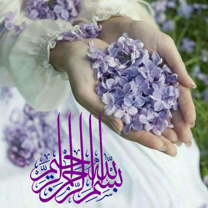 پل ارتباطی💕💗: یک صبح دل انگیز دگر را دیدیم!از شاخه ی صبح مهربانی چیدیمدستان سپاسمان به سویت ای دوستدلگرم عنایت تو چون خورشیدیم!به نام 