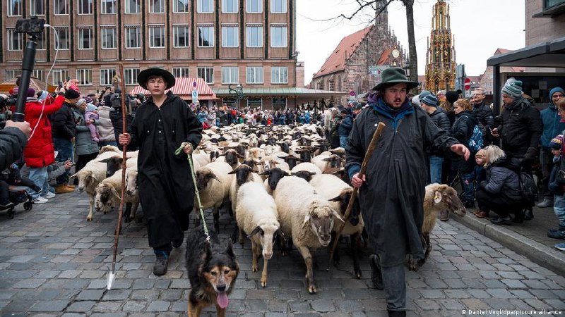 Откуда в центре Нюрнберга взялось гигантское стадо овец? Ситуация: допустим, вы - турист, приехали в Нюрнберг, немаленький немецкий город с красивым центром и кучей достопримечательностей, и вдруг… Прямо на главной площади вы видите огромное стадо из 800 о