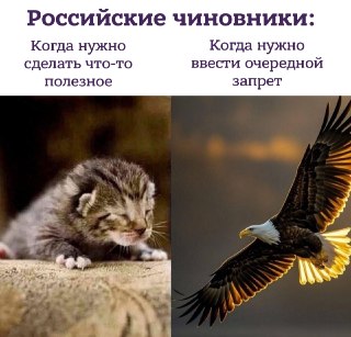Минцифры РФ планирует ввести возрастную идентификацию на онлайн-платформах.«В целом сейчас, я думаю, ближайшая повестка — это все-таки вопрос встраивания механизмов возрастной идентификации в платформы. Этот вопрос точно перед нами встанет», — рассказал Ма