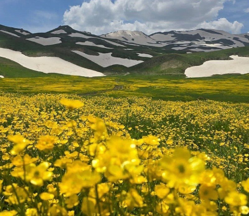 باریش نیوز: 🖼 امروز پنجشنبه 🗓 ۲۹ مرداد ۱۴۰۵ هجری شمسی 🌙 ۷ ربیع الاول ١٤٤۸ هجری قمری 🌲 ۲۰ آگوست ۲۰۲۶ میلادی☀️اوقات شرعی به افق ارومیه