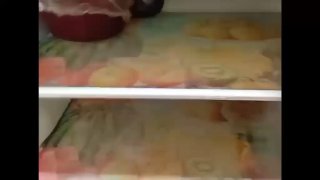 הכיבוש מחמיר את המצור על ח'רבת אל-מוח'ל ליד העיירה יאבאד, דרומית-מערבית לעיר ג'נין, ומצר משפחה במשך שבועיים…