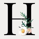 Nutcast | نوت کست