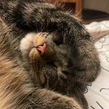 ｻℳℯ𝒸тℯч𝓀ℴ иℋфℴ八