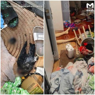 Житель Петербурга зарезал знакомую, потому что принял ее за «английскую шпионку»30-летний житель Петербурга в состоянии наркотического опьянения зарезал девушку, потому что принял ее за «английскую шпионку». Об этом пишут 78 канал, «Mash на Мойке» и «Дорож