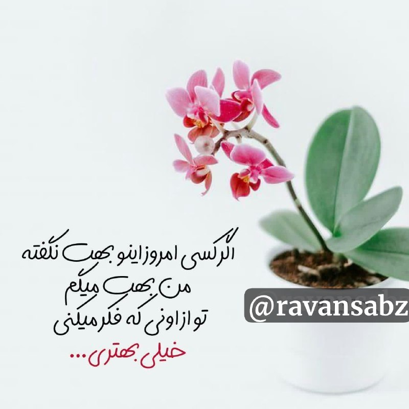 ♥طب سنتی با دلنوشته ♥: بلندشو امروز لباس شادی به تن کنآفتاب برای تو میدرخشدهمه چیز دست به دست هم میدهد تا تو به خواسته ات برسیامروزغنچه های محب