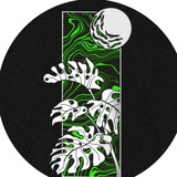 ПЭРЭДАЙС | PARADISE