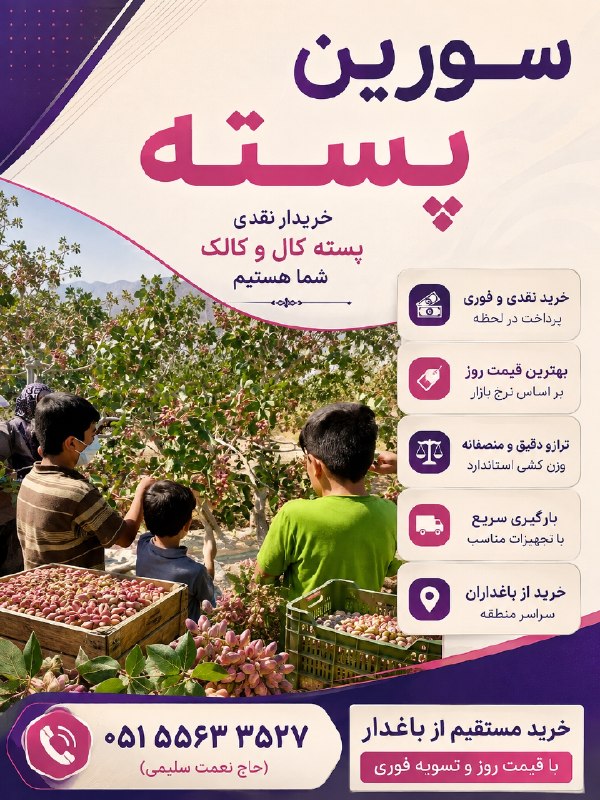 پاتوق بردسکن وحومه: 🌿 سورین پسته | همراه مطمئن باغداران 🌿فصل برداشت آغاز شده و ما در کنار باغداران عزیز هستیم؛ از خرید نقدی پسته کال و کالک 