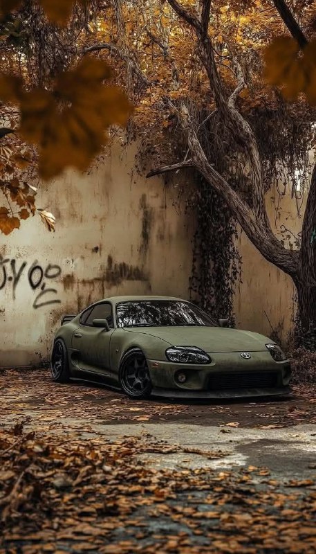 @sochiautoparts 2