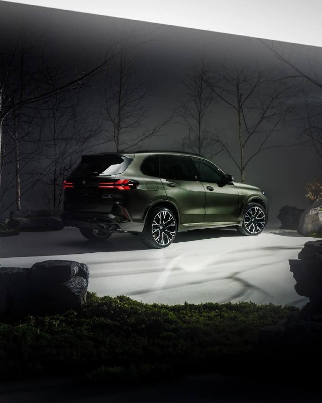 BMW X5M F95