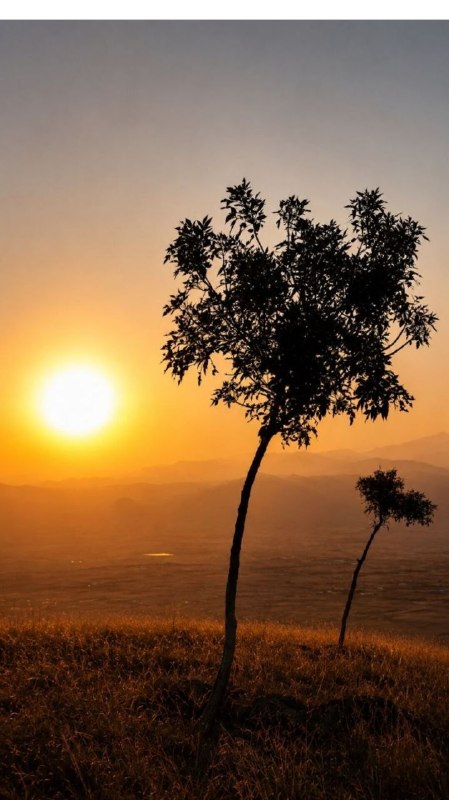 آیقار نیوز: ⛅️☀️غروب خورشید از تپه گیردولی مشکین شهر جعفر نجف اوغلی╔══ঊঈ پایگاه خبری ঊঈ══╗ 🍃🌸 @aygarnews 🌸🍃╚ঊঈ 📡 آیقار نیوز 📡 ঊঈ═╝