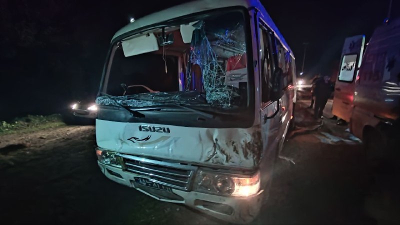 חמישה בני אדם מתו בתאונת מיניבוס בדרך לגונבאד לקשמיר
