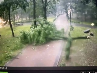 Ребенок и женщина погибли во время урагана в Смоленской областиИз-за шквалистого ветра, сопровождавшегося ливнем и грозой, в двух популярных городских парках рухнули деревья. Первая трагедия произошла в парке «Соловьиная роща», где упавшее дерево насмерть 
