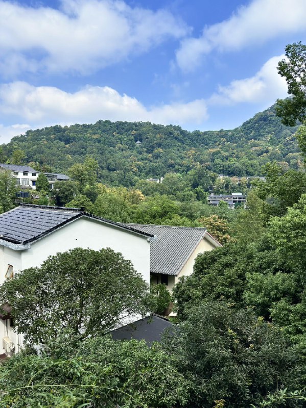 远离网络，沉浸式游走数日误入茶山，一览江湖远离网络，沉浸式游走数日误入茶山，一览江湖