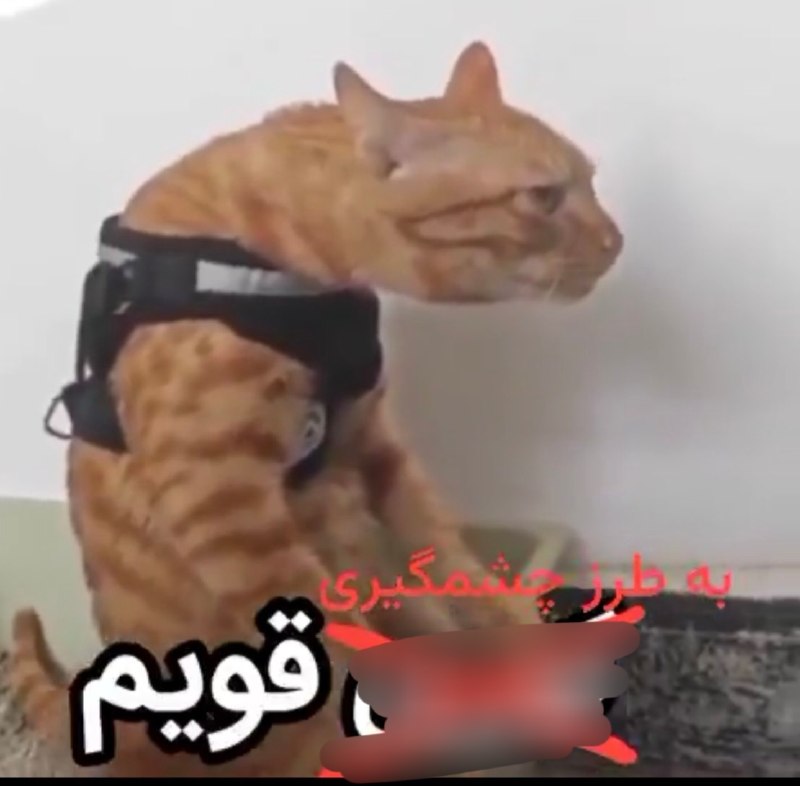 Fars News | فارس نیوز: ترامپ: من همه رو شکست میدم، از جمله ایران@Farse_news1/اخبار سِرّی