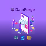 DataForge Platform
