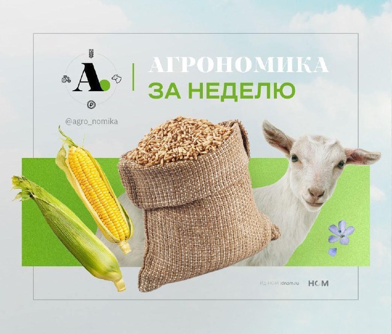 אספנו את הדברים הכי מעניינים של השבוע באגרונומיה. הרשו לנו להזכיר לכם על מה כתבנו השבוע. לגבי רגולציה הנציג…